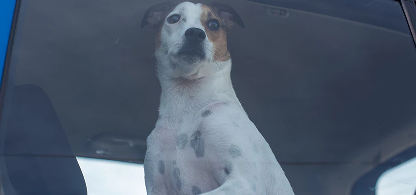 Car Lockout Solutions in La Habra, California